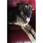 I loved you maxy, rest in peace. :(