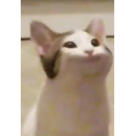 TH3 SUG4 M0MM4S