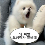 {루카네 소통방}