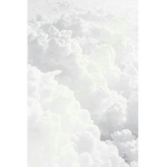 Cloudy Cuttie Group
