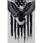 The US Black Ops