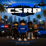 California State Traffic Enforcement
