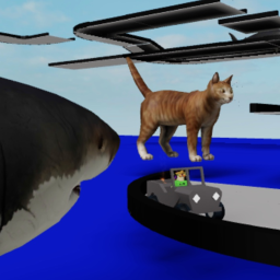 Shark Cat Racing!!!