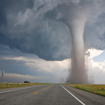 Survive a Tornado