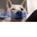 oscarcrewwwwwwfrfr