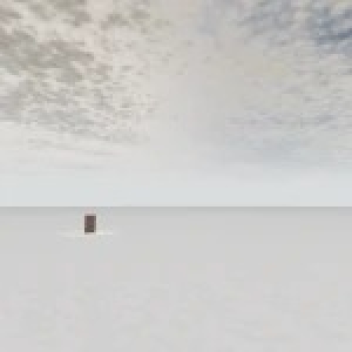 The dream