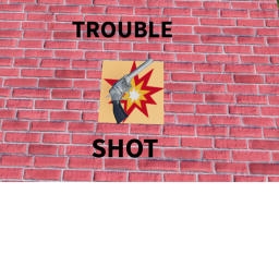 trouble shot