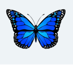 Squad.Of.Butterflys