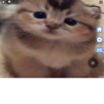 Stay fluffy!!!!!