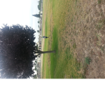 (Untitled) Group