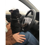 Drive Far