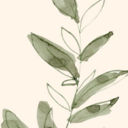 sage green plant Roblox decal