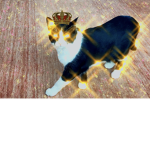 Oreo the Tuxito cat fan club