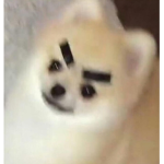 EooTrem
