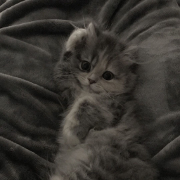 ♡