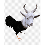 Aliran Sesat