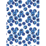 Blueberry friends
