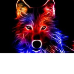 rainbow wolf123