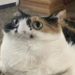 The Sushi of hope