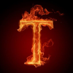 "FIRE NINJA GROUP"
