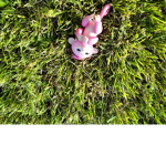 Swag grass
