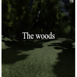 The woods