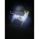 Lucy2003Group
