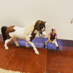 Queens Stables