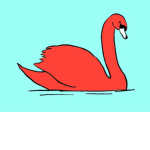 SpicySwan Clothing