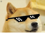 Da Ultimate Doge Squad