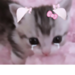 ギャル。