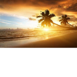 sunset|group