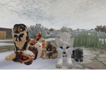 THE NON-CAT ROPLAYERS AND VIDEO MAKERS
