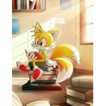 La tienda de ropa de tails