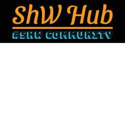 #ShW Hub Interview