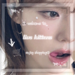 • - liv’s kittens - •