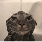 Devex Evilness