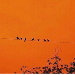 ୨୧