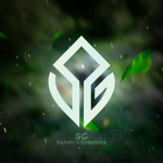 Salem's Graphics Payment's