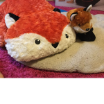 Foxes are cute :3
