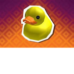 Ducky Nation.