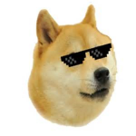 Doge Army! DOGE MILITARY!!!!!!!!!
