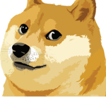 God doge house