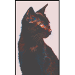 Help my cat is missing :(((