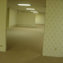 THE BACKROOMS