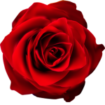 [Clan] |Bloody Star|