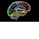 The IQ test