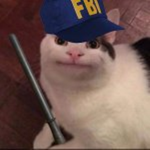 PoP Cat Patrol