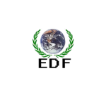 Earth Defense Force (EDF)