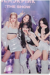 BLINK BLACKPINK FAN GROUP
